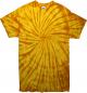 Spiral Tie Dye T-Shirt