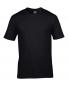 Premium Cotton Ring Spun T-Shirt